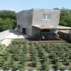 ����������� ����� + �������� ��������� �������� ���� 3