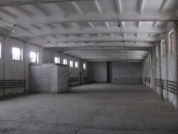 ������ ��������� �� �����, ����������� 5500 �2 ����� 3,2��. ���� 3