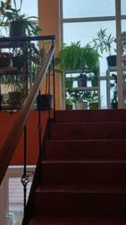 ������ ����� 408 ��.�. ĳ����� 4 ��� � �������� ���� 11