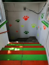 ���������� ��������� � ����� 9-�� ���������� ���� 2