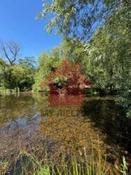 Продаж садиби м.Ужгород. фото 17 Продаж садиби м.Ужгород. фото 17