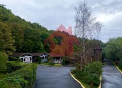 продаж готельно-рестораного бізнесу на окраїні Ужгорода. фото 11 продаж готельно-рестораного бізнесу на окраїні Ужгорода. фото 11