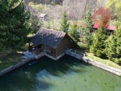 Продаж бази відпочинку 10 км від Мукачева фото 8 Продаж бази відпочинку 10 км від Мукачева фото 8