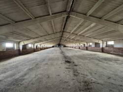 Продаж будівлі с. Буцнів фото 4 Продаж будівлі с. Буцнів фото 4