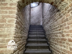 ��������, ��������� ���������� - ������ ���., ���� 14