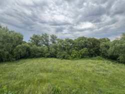 ������ ������ �. ������� ���� 15