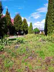 ������ ������������ ��������� �.��������� ���� 4