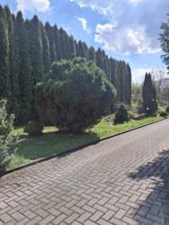 ������ ������������ ��������� �.��������� ���� 7