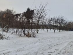 ��������� ��'��� �������������, ������������ ���� 5