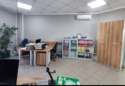 ������ ��������� ������������ ��������� �����. �. �������(�������� �������) ���� 29