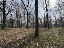 ������ ��������� �-��. ��������� ���� 19