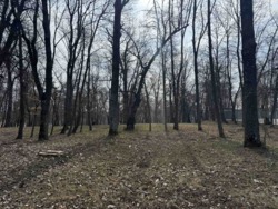 ������ ��������� �-��. ��������� ���� 9