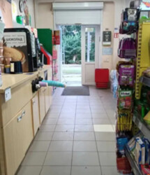 ������ ������������ ��������� �� ���. ����, ����� 120.2 ��.� ���� 4