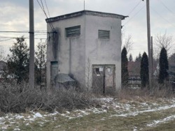     46