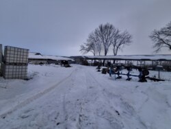 ��������� ��'��� �������������, ������������ ���� 1