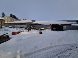 ��������� ��'��� �������������, ������������ ���� 12