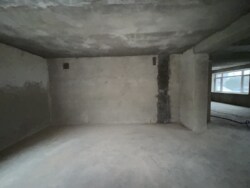 ������ ��������� �. ��������� ���� 12