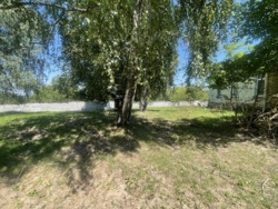      ! 🌳  19