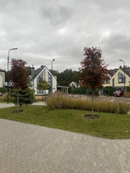       VILLAGGO  19