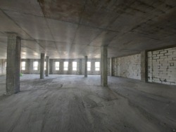 ��������� ��'��� ��������, 36, ³�����, ³�������, ����� ���� 12