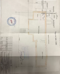 ��������� ��'��� ��������, 115 �, ³�����, ³�������, ������ ���� 1