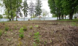 Продається оздоровчий комплекс Радон в Старому місті. фото 7 Продається оздоровчий комплекс Радон в Старому місті. фото 7