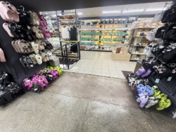 ��������� ��'��� �������������, 11, ³�����, ³�������, ������������� ���� 2