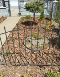 Продається комерційне приміщення 30 кв.м. з окремим входом. Центр. фото 2 Продається комерційне приміщення 30 кв.м. з окремим входом. Центр. фото 2