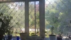 Помещение в очень проходном Месте фото 7 Помещение в очень проходном Месте фото 7