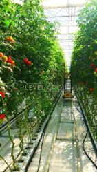 ������ ��������� ���������� ��������� �� ĳ����� ������� � ������� ������ ���� 7