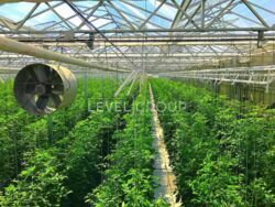 ������ ��������� ���������� ��������� �� ĳ����� ������� � ������� ������ ���� 4