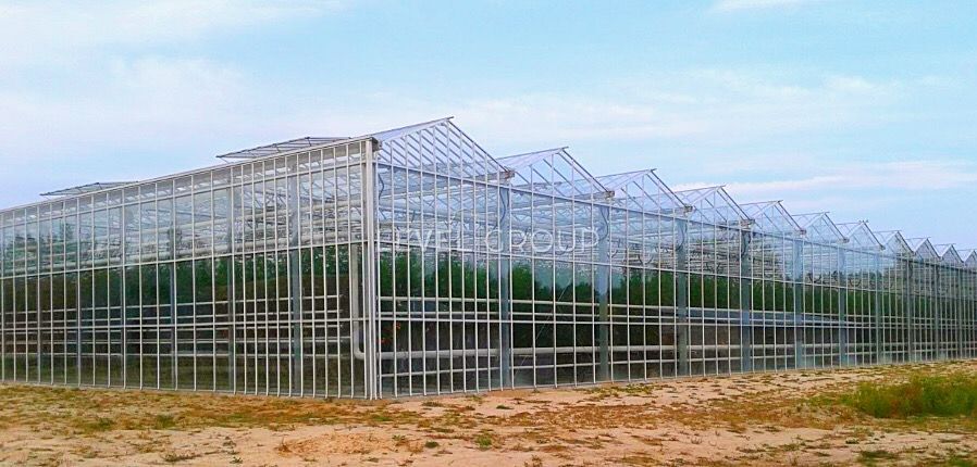 ������ ��������� ���������� ��������� �� ĳ����� ������� � ������� ������ ���� 1