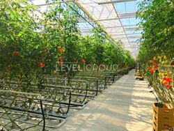 ������ ��������� ���������� ��������� �� ĳ����� ������� � ������� ������ ���� 6