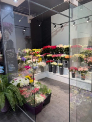 ������ ���������� ��������� � �� ���� ���� �� ������� ���. �������� �������� 20 ���� 12