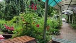 ������� ��������� � ������� ������, ����������� �������� 114 ���� 2