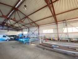 ������ ���������� ���������� � ���� �������� ���� 12