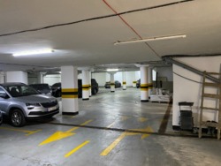   2900²  . , 17.  .  17