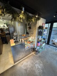 �����. ��������. ������ ��������� ������������ ��������� � ����� ���������. ���� 1