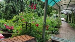 ������� ��������� � ������� ������, ����������� �������� 114 ���� 2