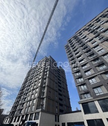 ������ ������������ ��������� � �� Senat ���� 8