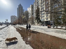 ������� �������� ����� �� ���������� ����������, ������� 14� ���� 1