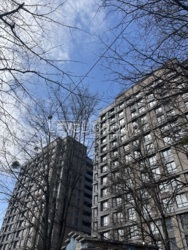 ������ ������������ ��������� � �� Senat ���� 11