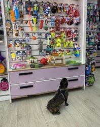 ������ �������������� ������ (100�2) �� ˳��-���� ���� 5