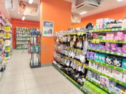 Продається об'єкт Київ, Деснянський, Лісовий, Каштанова фото 6 Продається об'єкт Київ, Деснянський, Лісовий, Каштанова фото 6