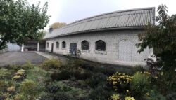 ������ ������ ����������� ������ ������� ����������� (500�2) �� ���. ������������ 61� ���� 5