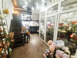 ������ ��������� ����� 238,8 �² �� ����������� ���� 6