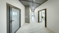 ��������� ��'��� ������������� �����. (��������), 11, ���, �������������, �. ������������ �������� ���� 10