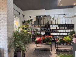 ������ ���������� ��������� � �� ���� ���� �� ������� ���. �������� �������� 20 ���� 11