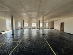 ������ ������ �����, ������, �������� ���� 10