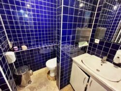 ������ ��������� ����� 238,8 �² �� ����������� ���� 15